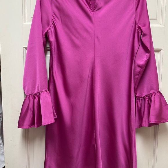 J Crew Pink Dress with Ruffle Long Bell Sleeve - Picture 5 of 5